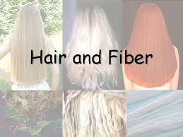 I don't have a lot of space to work in so i'm limited to the simpler methods. Hair And Fiber Hair Evidence From Hair One