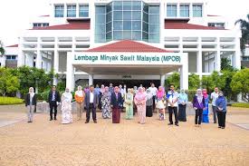 Malaysian palm oil board), disingkat mpob, adalah sebuah lembaga pemerintah yang bertanggung jawab untuk promosi dan pengembangan industri minyak sawit di. Facebook