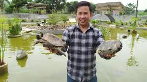 Terletak di lokasi yang masih sama dengan islamic center yaitu di desa pulung kencana. Kora Dan Kori Jadi Penghuni Baru Taman Kura Kura Gerbang Patriot