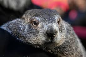What is Groundhog Day?