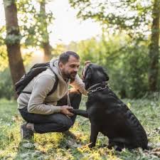 Here's how you can take your dog's temperature at home: What Is The Normal Body Temperature For Dogs Dog S Health