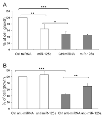 Lawak ke der 2 dibuat ke versi filem maka tempoh masa dipendekkan, jadi kita just dapat tengok adegan2 terpilih jer.kita x dapat tengok versi full. Microrna 125a 5p Is A Downstream Effector Of Sorafenib In Its Antiproliferative Activity Toward Human Hepatocellular Carcinoma Cells Potenza 2017 Journal Of Cellular Physiology Wiley Online Library