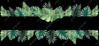 Users are allowed to use our images without. Daun Tropis Hijau Dengan Area Ruang Berlatar Hitam Latar Belakang Latar Belakang Hitam Hijau Gambar Latar Belakang Untuk Unduhan Gratis