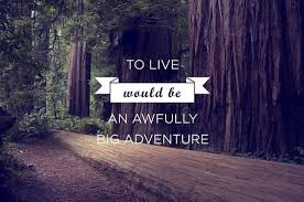 To Live Would Be An Awfully Big Adventure J M Barrie Peter Pan Quotes Wonderful Words Pretty Words