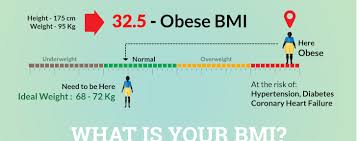 bmi calculator calculate your body mass index online