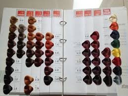 32 judicious kolours hair color chart