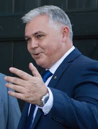 File:Mark Mitchell NZ.jpg