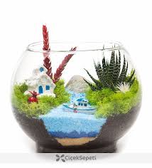 Pin On Terrarium