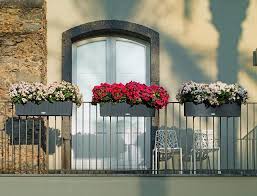 Balkon Pflanzen Und Blumen Blutenpracht Und Sichtschutz Balkon Pflanzen Balkon Dekor Pflanzideen