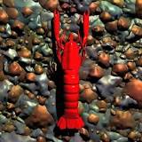 Image result