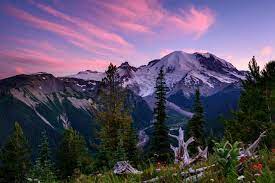 Maybe you would like to learn more about one of these? Mount Rainier National Park Washington Recreation Gov
