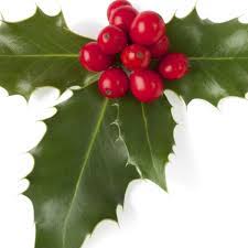 Maybe you would like to learn more about one of these? The Holly And The Ivy And The Mistletoe