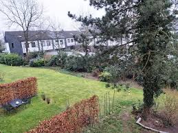Haus wohnung zimmer möbliertes wohnen / wohnen auf zeit grundstück stellplatz/garage freizeitgrundstück büro und praxisräume einzelhandel wohnungen kaufen rund um erkrath. Erkrath Banner Immobilien