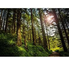 Palinuro è un paese del parco nazionale del cilento e vallo di diano, frazione del comune. Paesaggio Soleggiato Hd Paesaggio Soleggiato Hd Paesaggio Naturale A Aaji Dam Scarica Questa Immagine Gratuita Di Girasole Paesaggio Soleggiato Dalla Vasta Libreria Di Pixabay Di Immagini E Video