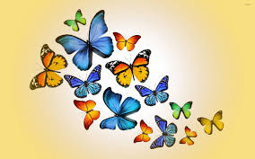 Butterflies need diverse habitats, including shade, in order to be able to protect themselves from the warming temperatures of climate change. Orange And Blue Butterflies Wallpaper Artistic Wallpapers 52809