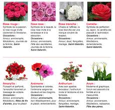 Le Langage Des Fleurs Langage Des Fleurs Signification Des Fleurs Fleurs