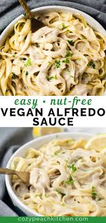 Vegan Garlic Alfredo Sauce Recipe In 2020 Dairy Free Pasta Vegan Alfredo Sauce Vegan Alfredo