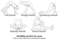 They are cardiorespiratory (cr) endurance (also called aerobic endurance), flexibility, muscular strength, muscular endurance, and body . Home Workout 5 Components Of Health Related Fitness Workout Routine Workout Fitness
