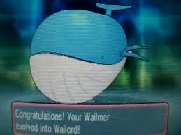 Pokemon Omega Ruby And Alpha Sapphire Wailmer Evolve Into Wailord