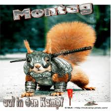 Https Encrypted Tbn0 Gstatic Com Images Q Tbn 3aand9gcqrpsdyrckuzzcsfdchwlvpk48ixp4xvhoabq Usqp Cau