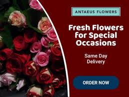 Check spelling or type a new query. Antaeus Flowers Dribbble