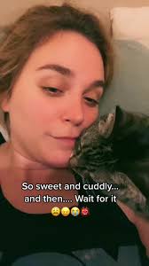 My little goober #lol #ouch #mean #meanie #meancat #mycat #kiwi #catmon  #furbaby #cat #chomp