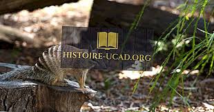 Tentunya kesalahan ini bisa dibiarkan akan membuat data yang kita masukkan tidak valid atau berimbas pada kesalahan data ujian nasional. Nama Haiwan Bermula Dengan N 2021