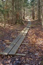 We did not find results for: Moore Trail