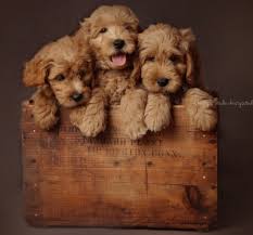 Maybe you would like to learn more about one of these? Home