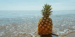 We would like to show you a description here but the site won't allow us. Pineapples On Cruise Ship Doors The Secret Meaning