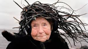 Alexander Steer (alexandersteer2998)