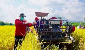 Untuk lebih jelasnya, berikut beberapa gambar sketsa petani dan burung pipit yang dapat kamu jadikan sebagai referensi dalam menggambar atau hiasan di ponsel ataupun rumah. Petani Harianbangsa Net