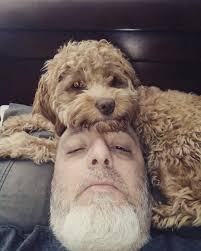 Shiba Inu owners' morning routines with their dogs