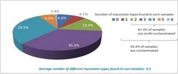 Contamination of cell cultures is easily the most common problem encountered in cell culture laboratories, sometimes with very serious consequences. Pancosma Associates 2015 Survey Threat Of Multi Mycotoxin Contamination Engormix