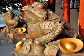 Image result for toad gods