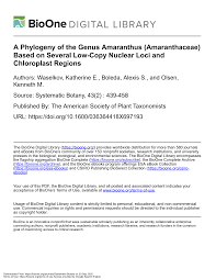 Image result for Amaranthus praetermissus