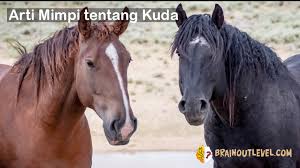 Maka ketika si lelaki itu bermimpi bahwa ia memperoleh tambahan kuda dalam tidur nya, itu bisa jadi pertanda bahwa hal hal diatas tersebut bertambah pula. Tafsir Dan Penjelasan Dari Arti Mimpi Tentang Kuda Dalam Kehidupan Kita