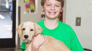Kırık, pet ve kraliyet yumurtası. Adopt A Pet Pet Adoptions Arizona Humane Society