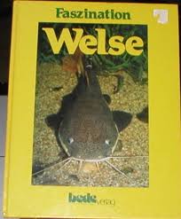 Welse is a river of brandenburg, germany. Faszination Welse By Aquaristik Kobayagawa Midori 1992 Antiquariat Lowenstein