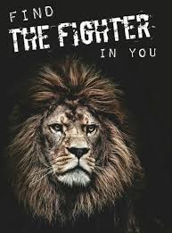 Strength Lion Quotes Lion Animals