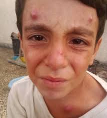 Chris 🇺🇦 🏳️‍🌈 he/him (@chriskeeton)