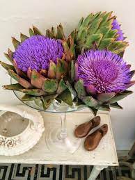 Home From France Artichoke Flower France Paris Travel
