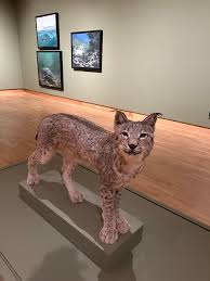 Jade Kirkpatrick (@JKirkpatrick37)