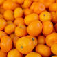 Georgia Peach Truck - Farmingdale, NY @ Starkie... event in Farmingdale, NY