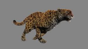 Leopard Panther Puma Jaguar 3d Model Jaguar Animal Panther Jaguar Leopard