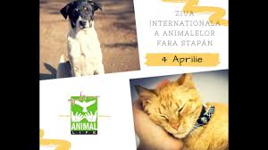 Maybe you would like to learn more about one of these? 4 Aprilie Ziua Internationala A Animalelor Fara Stapan Youtube