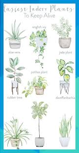 Pin On Home Decor