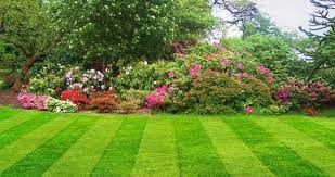 Conway's lawn & landscape llc. Almighty Lawn Care Review Ratings Information
