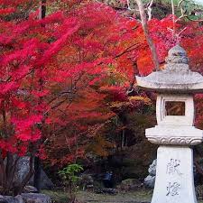 Kyoto Yamashina Bishamondo Temple Autumnleaves Mit Bildern