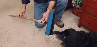 How to remove pet hair from your carpet. How To Remove Pet Hair From Carpet